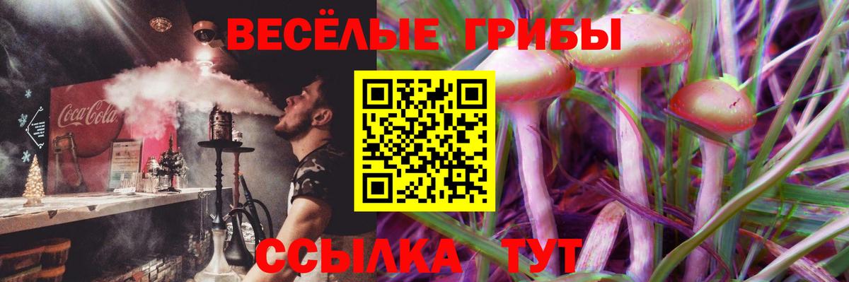 Псилоцибиновые грибы ЛСД  Вход с VPN  Новороссийск 