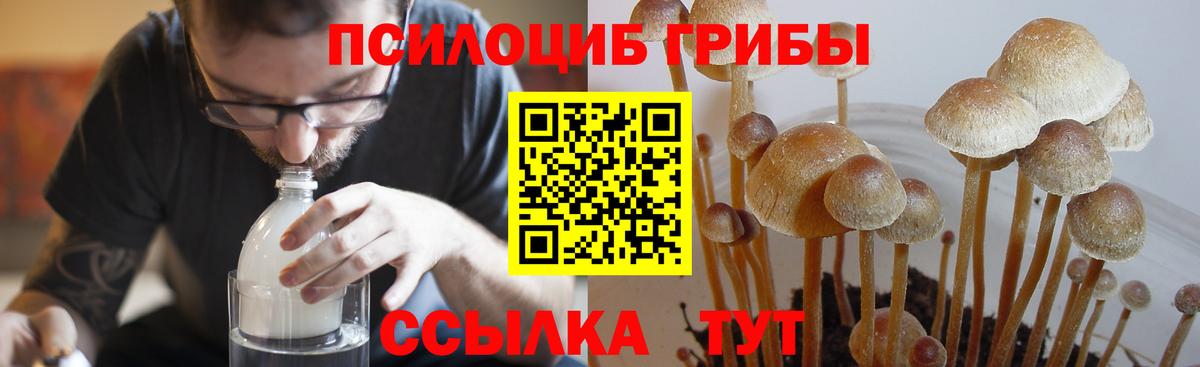 Галлюциногенные грибы Cubensis Новороссийск