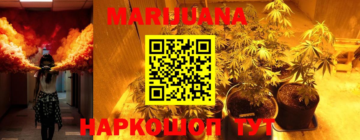 Каннабис гибрид Новороссийск